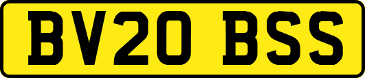 BV20BSS