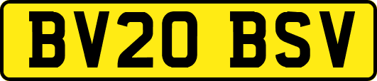 BV20BSV