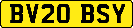 BV20BSY