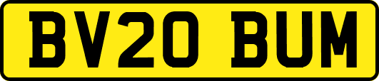 BV20BUM