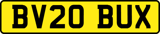 BV20BUX