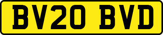 BV20BVD