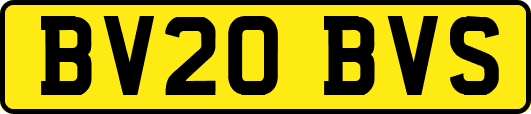 BV20BVS