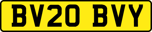 BV20BVY