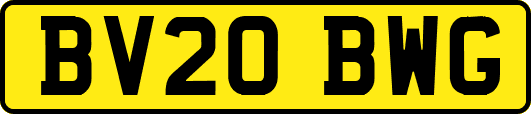 BV20BWG