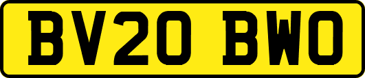 BV20BWO