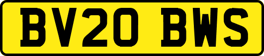 BV20BWS