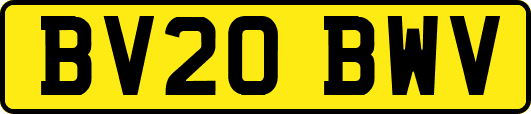 BV20BWV