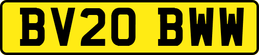 BV20BWW