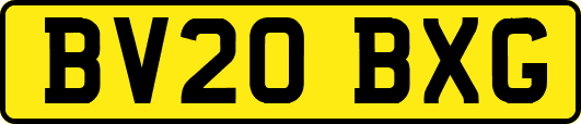 BV20BXG