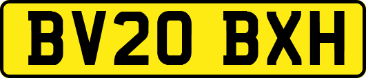 BV20BXH