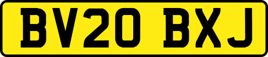 BV20BXJ