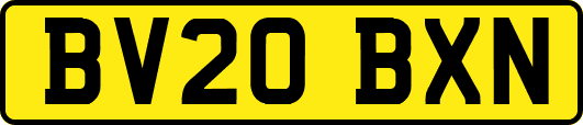 BV20BXN