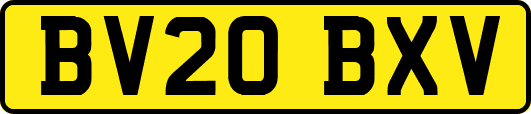 BV20BXV