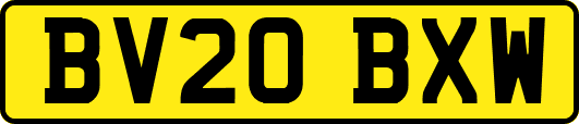 BV20BXW