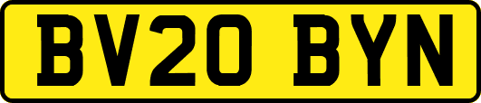 BV20BYN