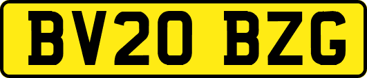 BV20BZG