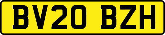 BV20BZH