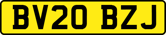 BV20BZJ