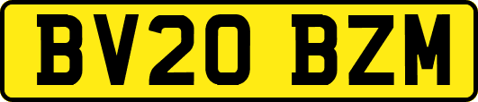 BV20BZM
