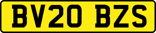 BV20BZS