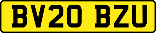 BV20BZU