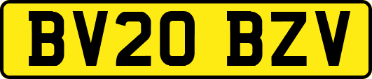 BV20BZV