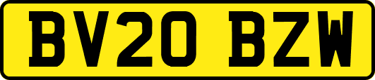 BV20BZW