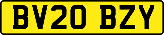 BV20BZY