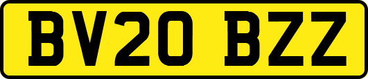 BV20BZZ