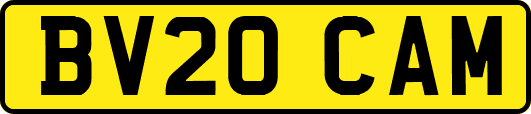 BV20CAM