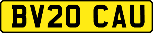 BV20CAU