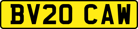 BV20CAW