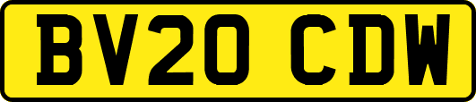BV20CDW