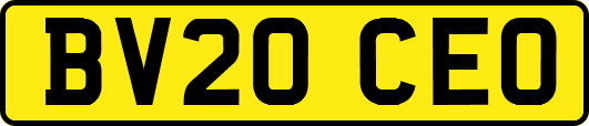 BV20CEO