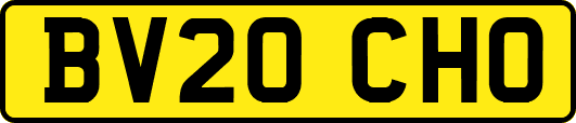 BV20CHO