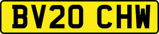 BV20CHW