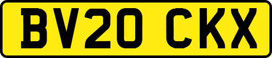 BV20CKX