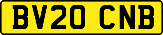 BV20CNB