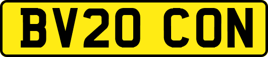 BV20CON