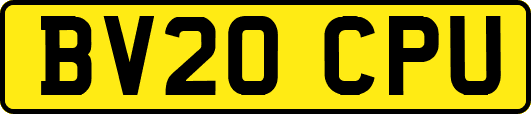 BV20CPU