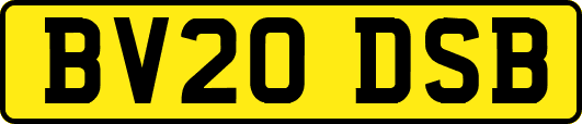 BV20DSB