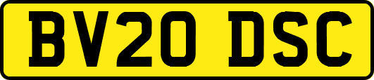 BV20DSC
