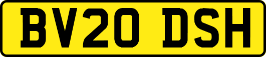 BV20DSH