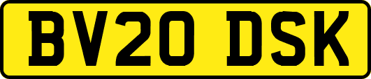 BV20DSK