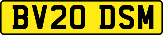 BV20DSM