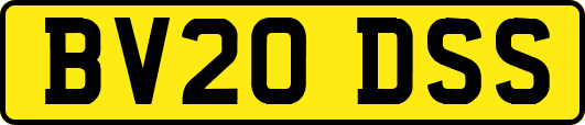 BV20DSS