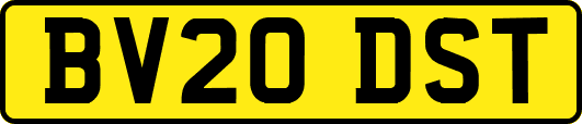 BV20DST