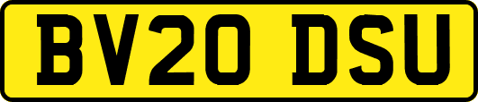 BV20DSU