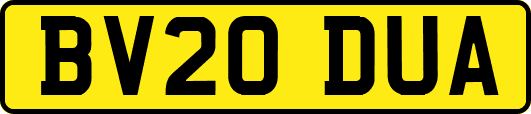 BV20DUA
